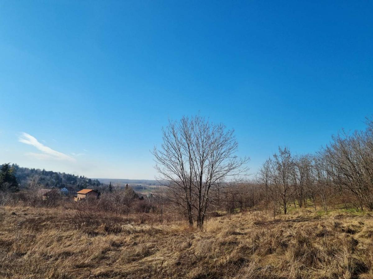Plac Prodaja Novi Sad Plac Prodaja Novi Sad 0 m2