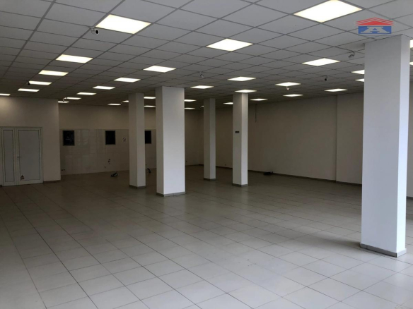 Lokal Izdavanje Novi Sad  331 m2