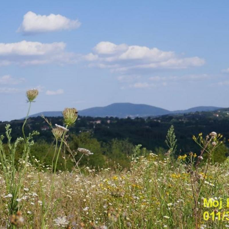 Plac Prodaja Beograd Beljina 0 m2