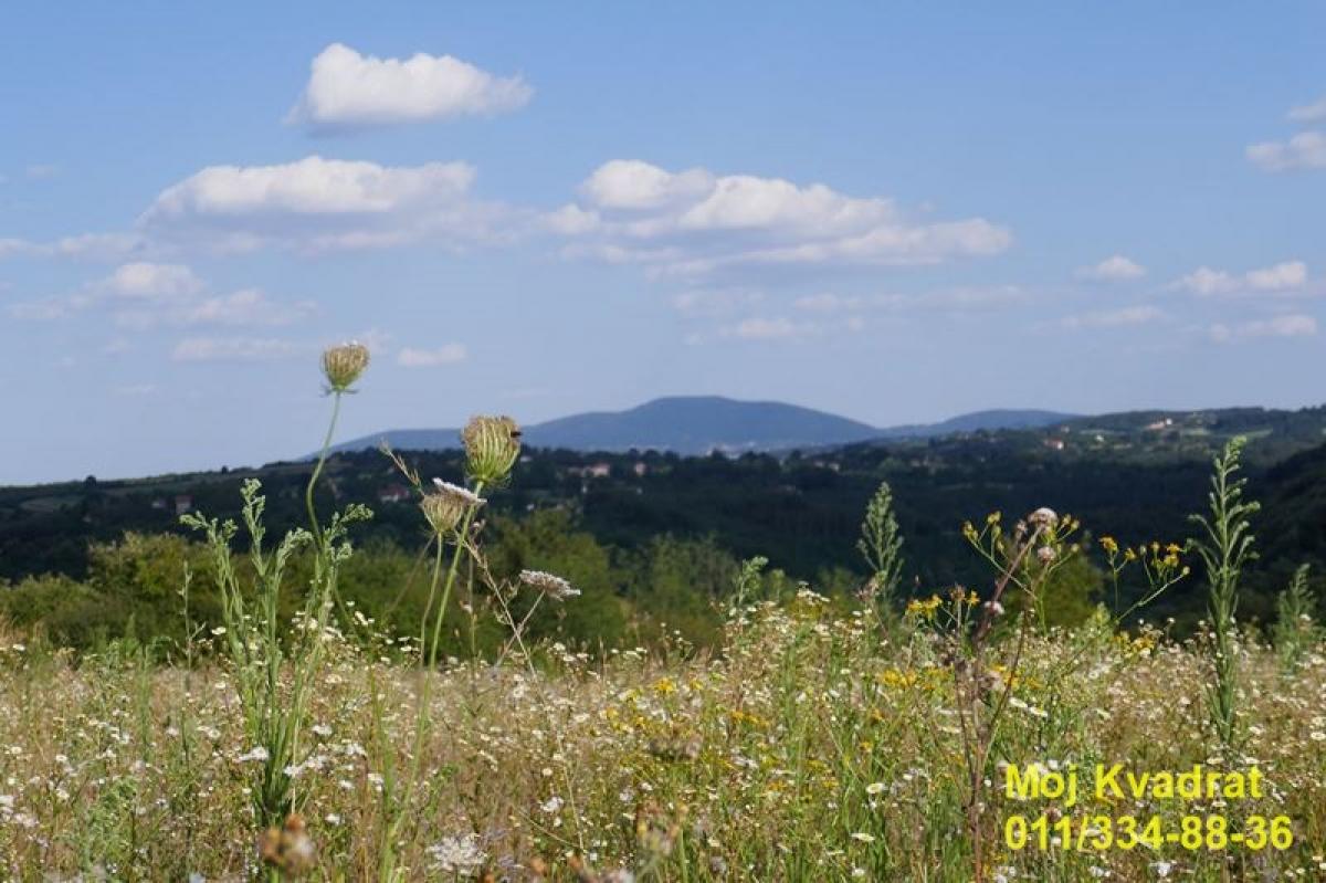 Plac Prodaja Beograd Plac Prodaja Beograd Beljina 0 m2