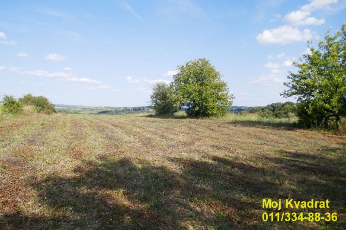 Plac Prodaja Beograd Plac Prodaja Beograd Beljina 0 m2