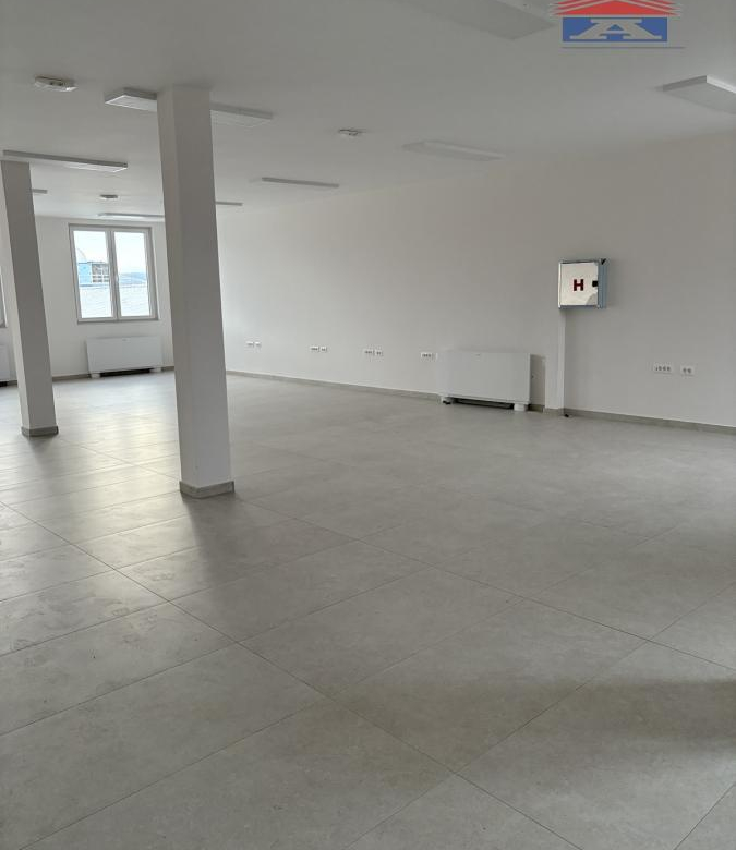 Lokal Izdavanje Novi Sad  250 m2