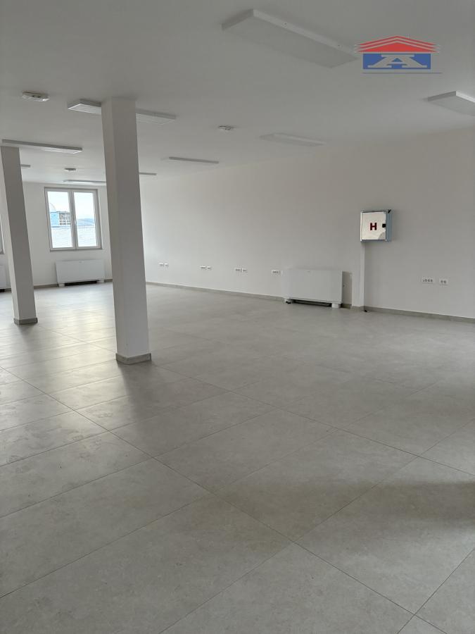 Lokal Izdavanje Novi Sad  250 m2