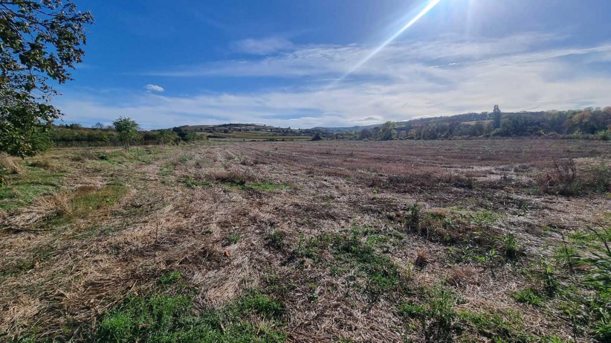 Plac Prodaja Sremski Karlovci Plac Prodaja Sremski Karlovci 0 m2