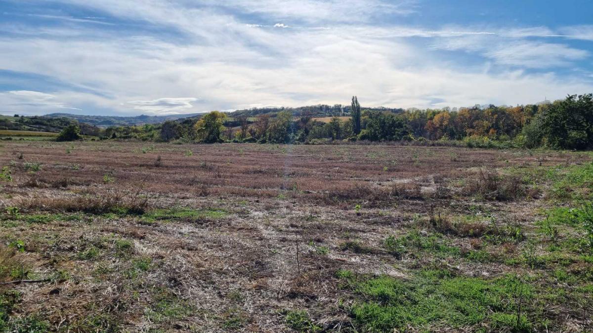 Plac Prodaja Sremski Karlovci Plac Prodaja Sremski Karlovci 0 m2