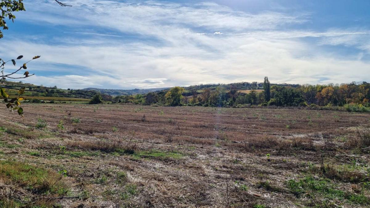 Plac Prodaja Sremski Karlovci Plac Prodaja Sremski Karlovci 0 m2