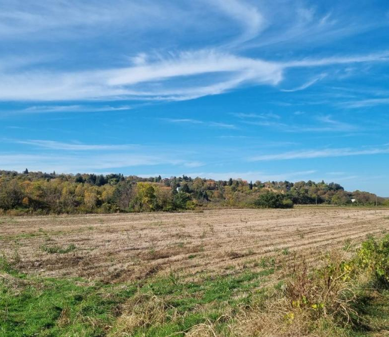 Plac Prodaja Sremski Karlovci  0 m2