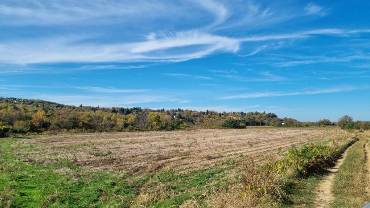 Plac Prodaja Sremski Karlovci Plac Prodaja Sremski Karlovci 0 m2