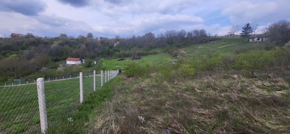 Plac Prodaja Beočin Plac Prodaja Beočin 2881 m2