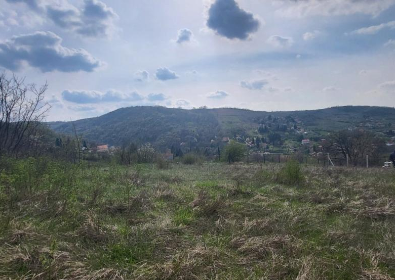 Plac Prodaja Beočin  2881 m2