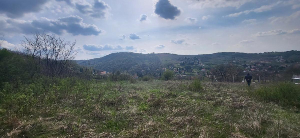 Plac Prodaja Beočin Plac Prodaja Beočin 2881 m2