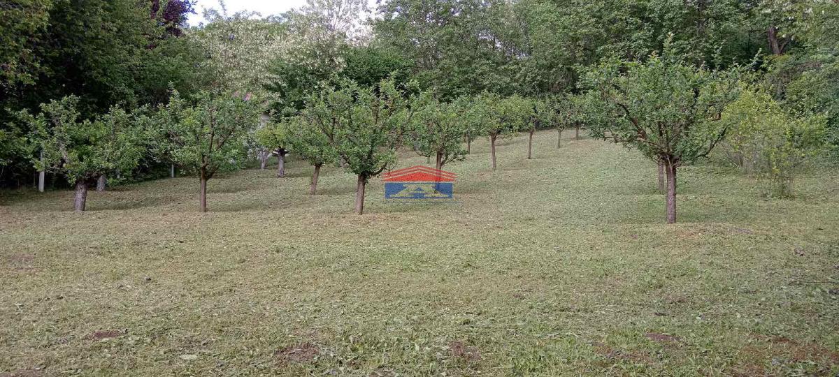 Plac Prodaja Inđija Plac Prodaja Inđija 1409 m2