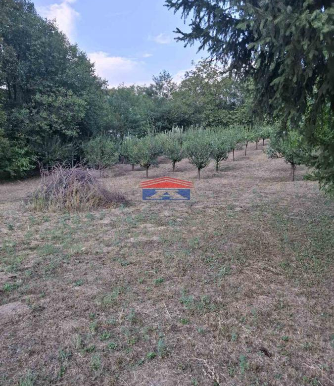Plac Prodaja Inđija  1409 m2