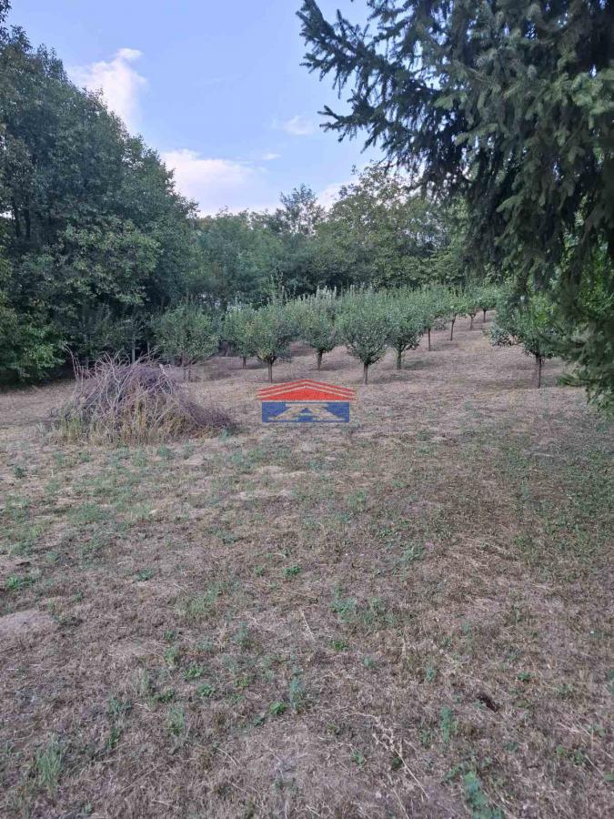 Plac Prodaja Inđija Plac Prodaja Inđija 1409 m2