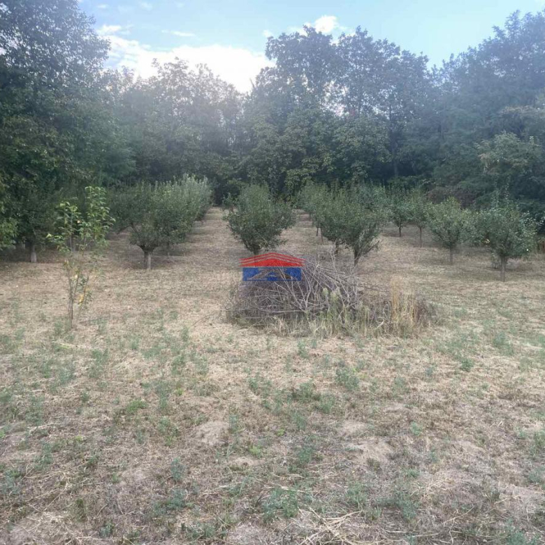 Plac Prodaja Inđija  1409 m2