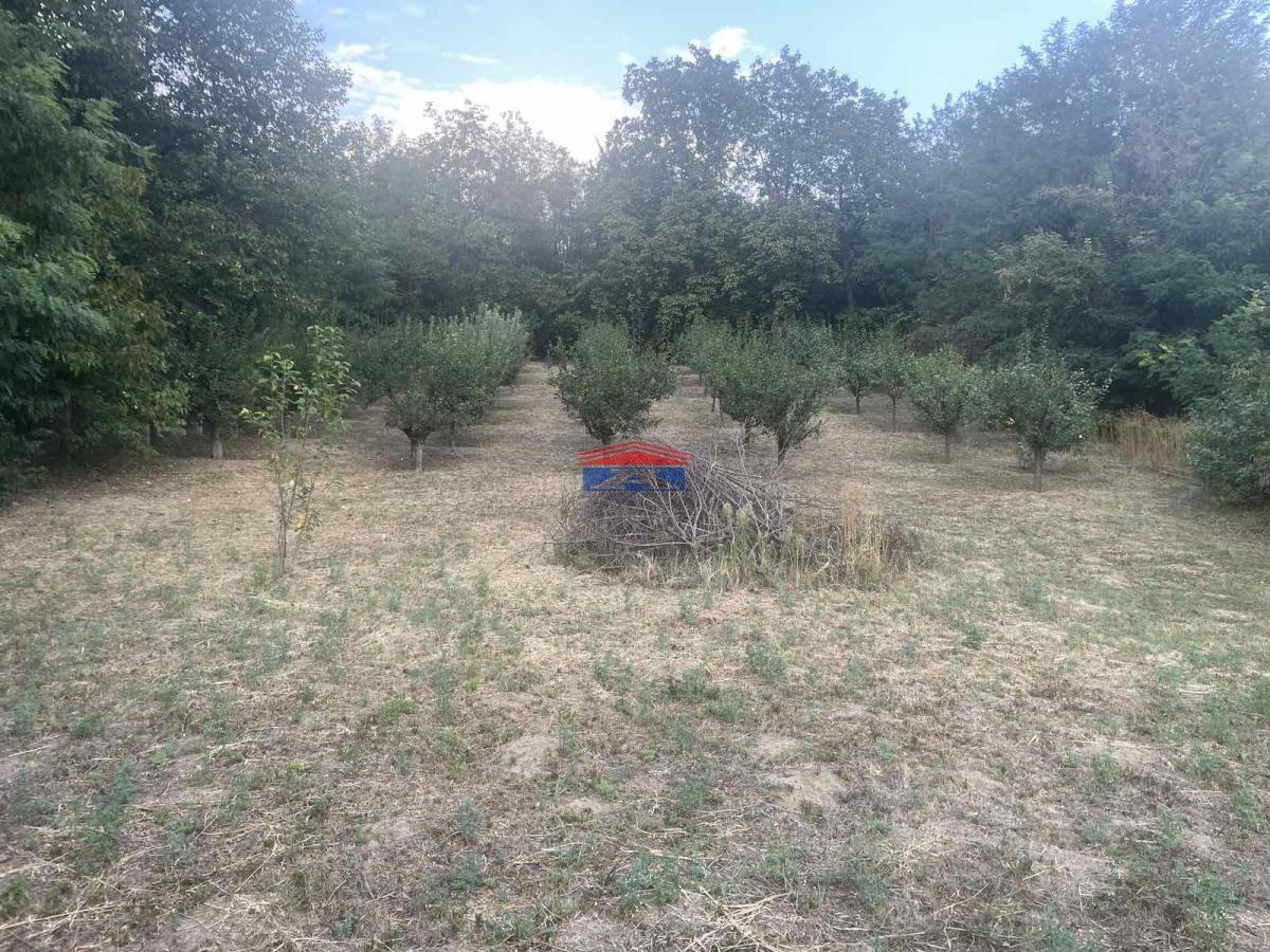 Plac Prodaja Inđija Plac Prodaja Inđija 1409 m2