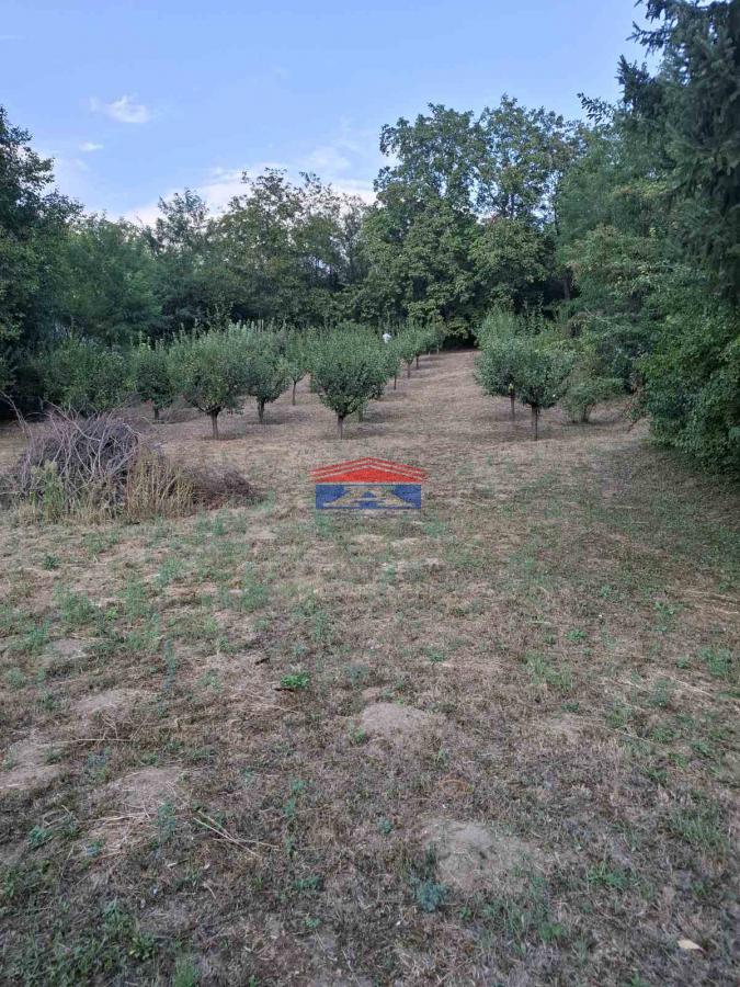 Plac Prodaja Inđija Plac Prodaja Inđija 1409 m2