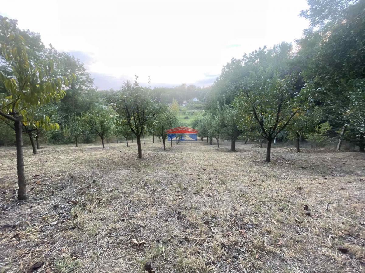 Plac Prodaja Inđija Plac Prodaja Inđija 1409 m2