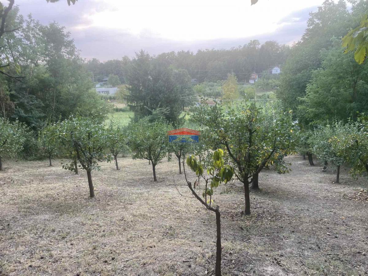 Plac Prodaja Inđija Plac Prodaja Inđija 1409 m2