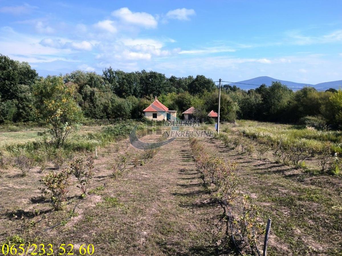 Plac – Beograd, Sopot Drlupa – ID 5577