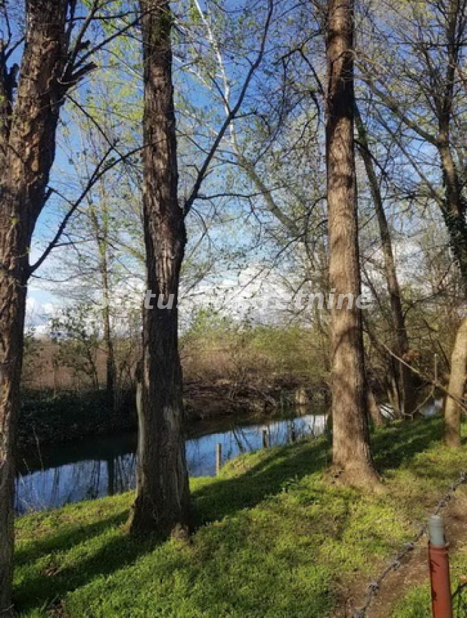Kuća Prodaja Bačka Topola  465 m2