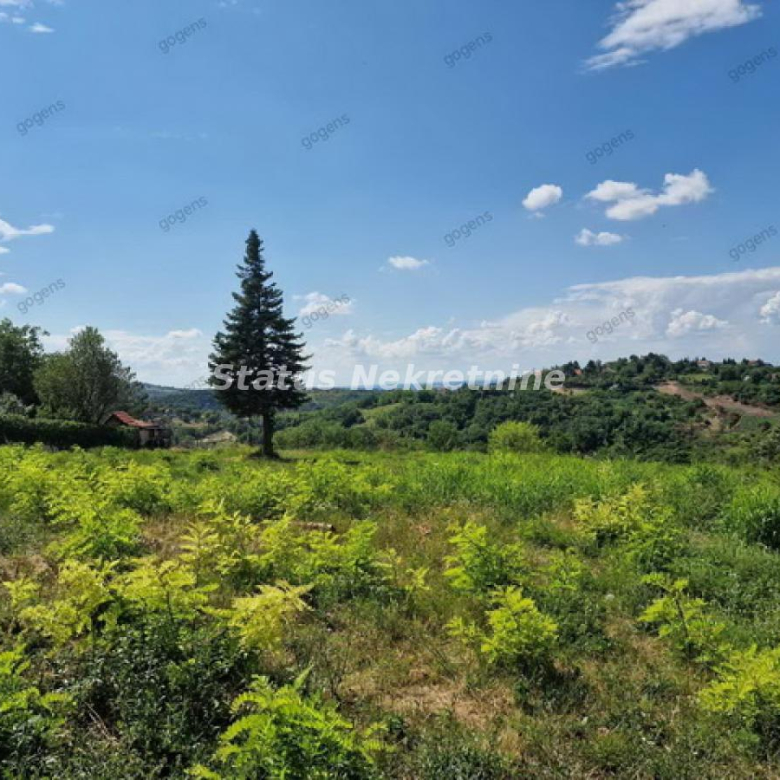 Plac Prodaja Novi Sad  0 m2