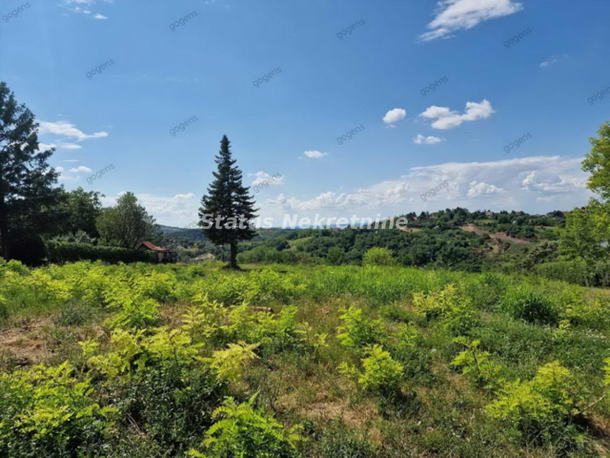 Plac Prodaja Novi Sad Plac Prodaja Novi Sad 0 m2