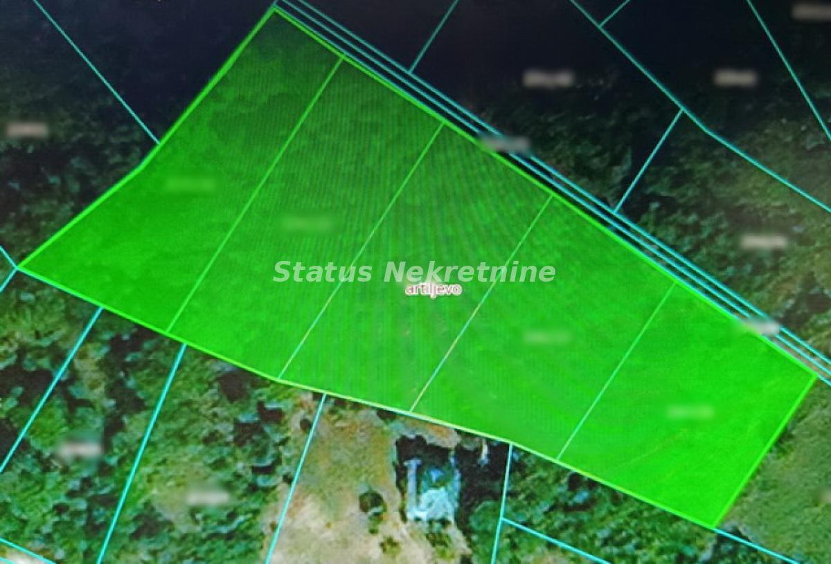 Plac Prodaja Novi Sad Plac Prodaja Novi Sad 0 m2