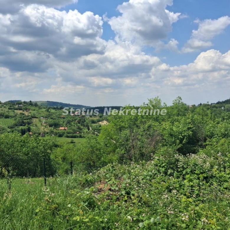 Plac Prodaja Novi Sad  0 m2