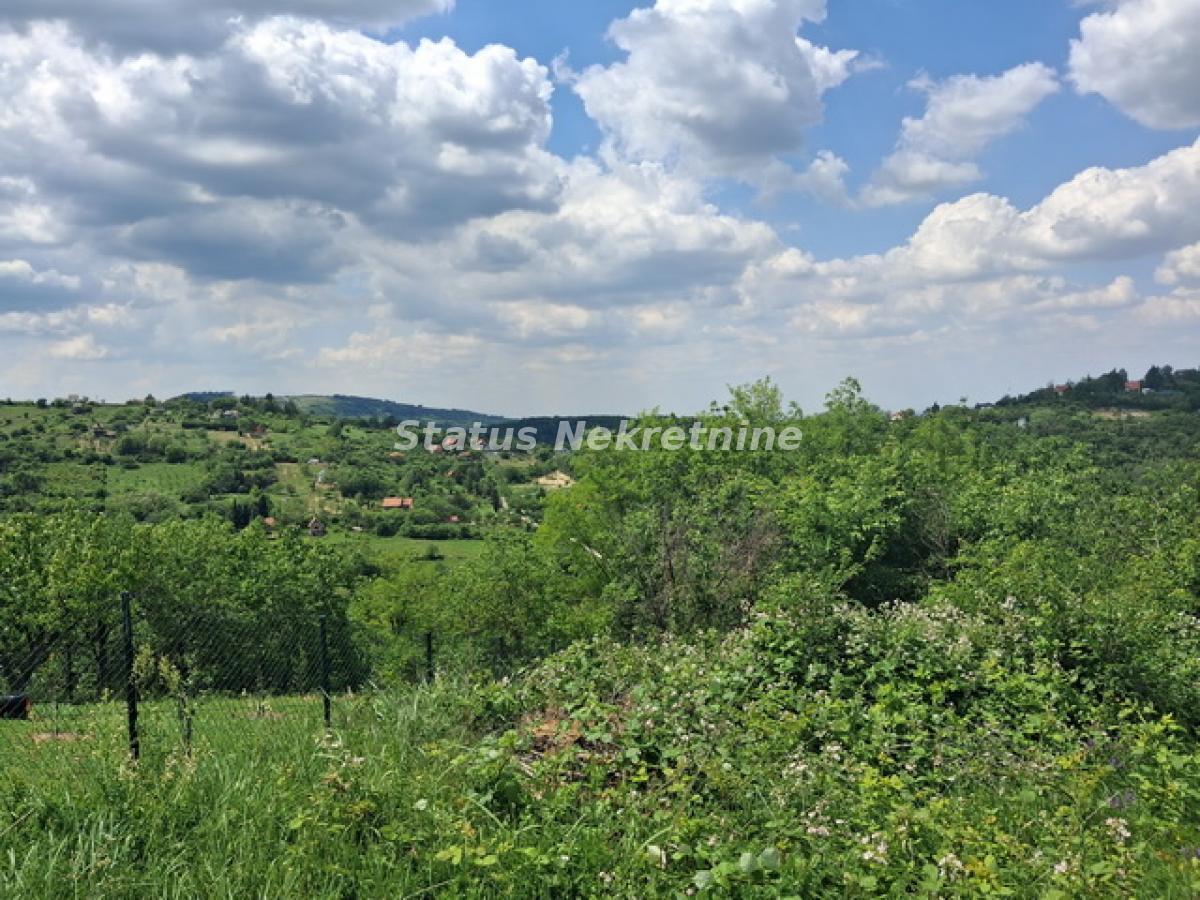 Plac Prodaja Novi Sad Plac Prodaja Novi Sad 0 m2