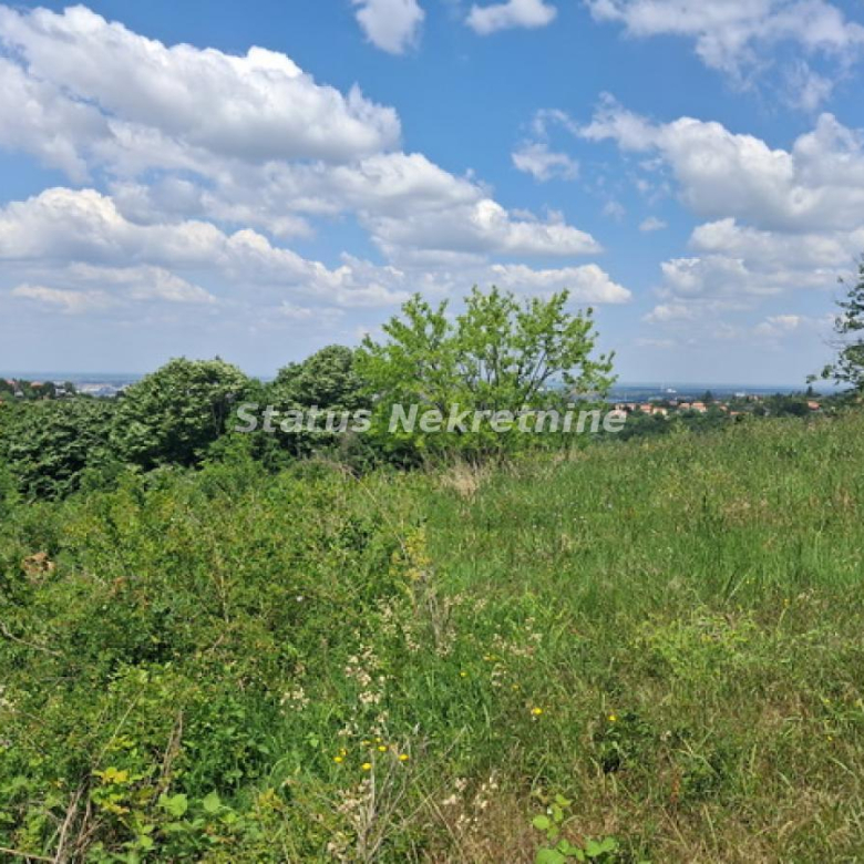 Plac Prodaja Novi Sad  0 m2