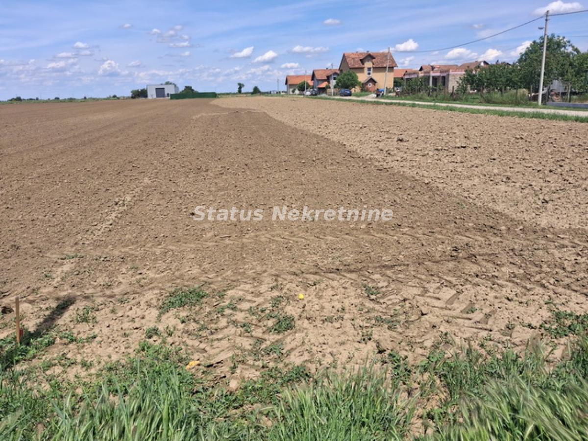Plac Prodaja Novi Sad Plac Prodaja Novi Sad 0 m2