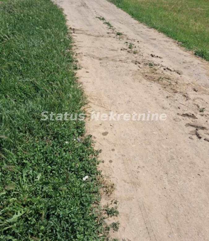 Plac Prodaja Novi Sad  0 m2