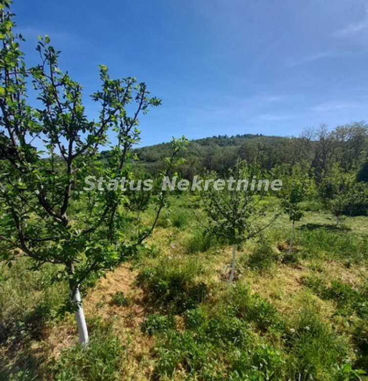 Plac Prodaja Sremski Karlovci  0 m2