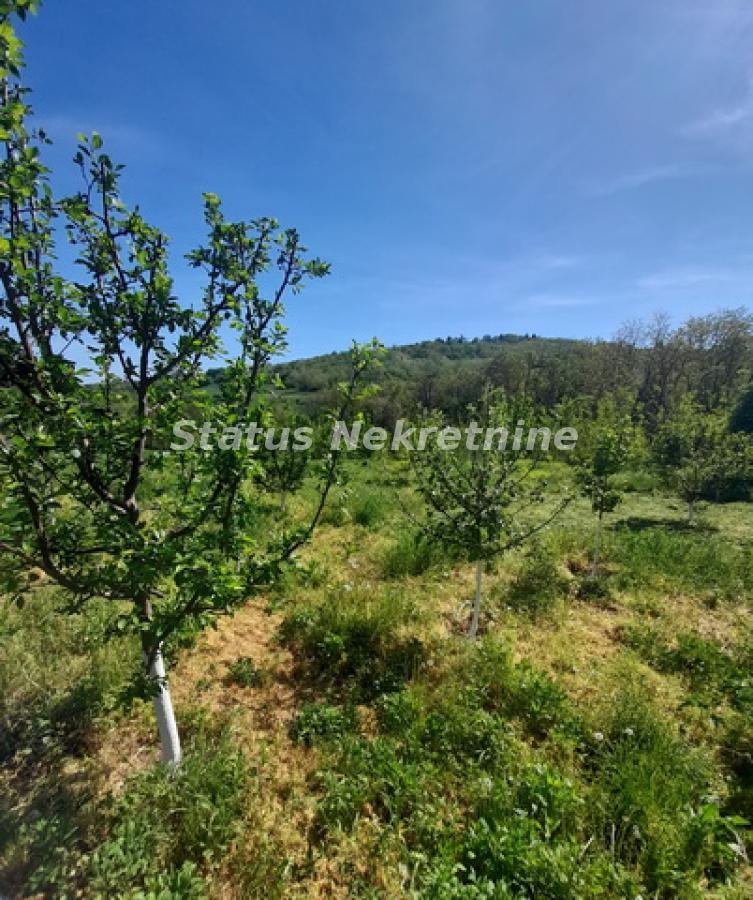 Plac Prodaja Sremski Karlovci  0 m2