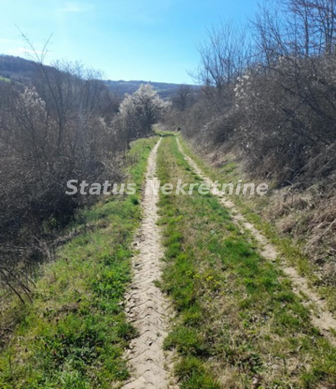 Plac Prodaja Sremski Karlovci  0 m2