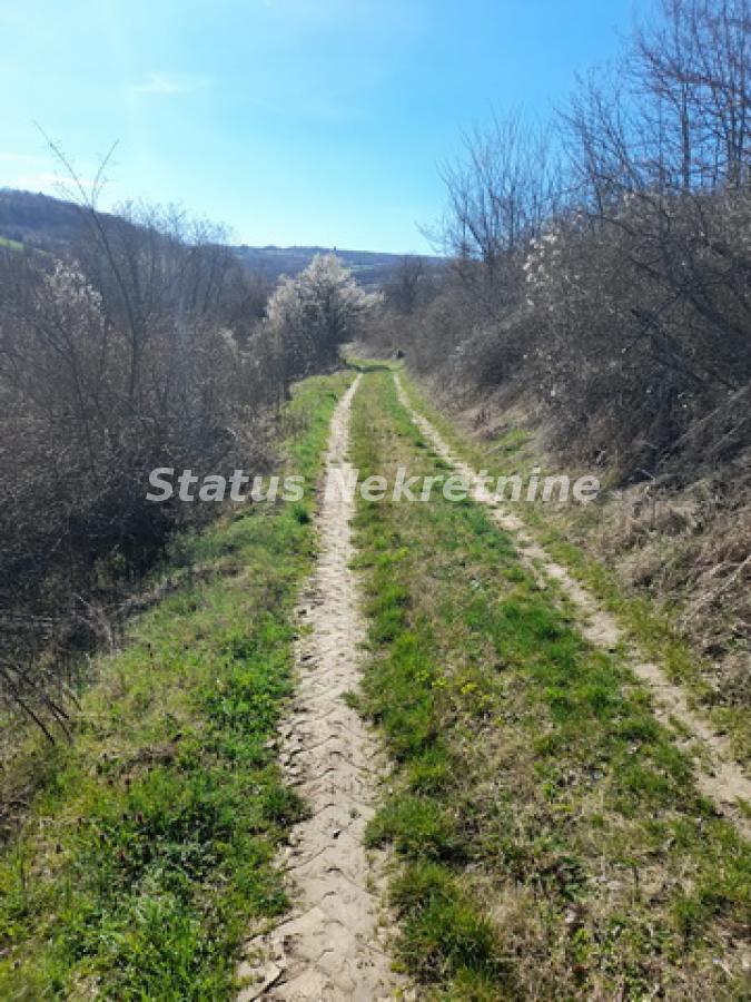 Plac Prodaja Sremski Karlovci Plac Prodaja Sremski Karlovci 0 m2