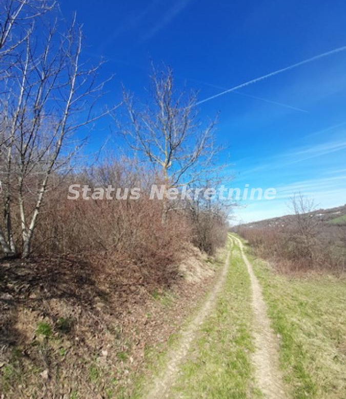 Plac Prodaja Sremski Karlovci  0 m2