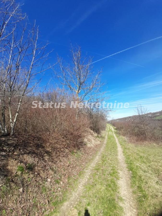 Plac Prodaja Sremski Karlovci Plac Prodaja Sremski Karlovci 0 m2