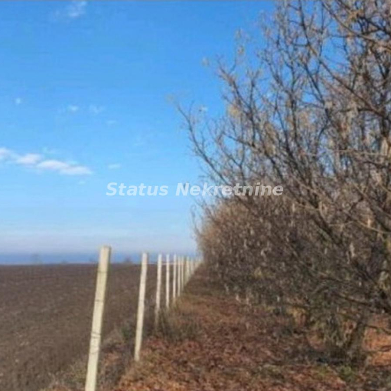 Plac Prodaja Bačka Palanka Gajdobra 0 m2