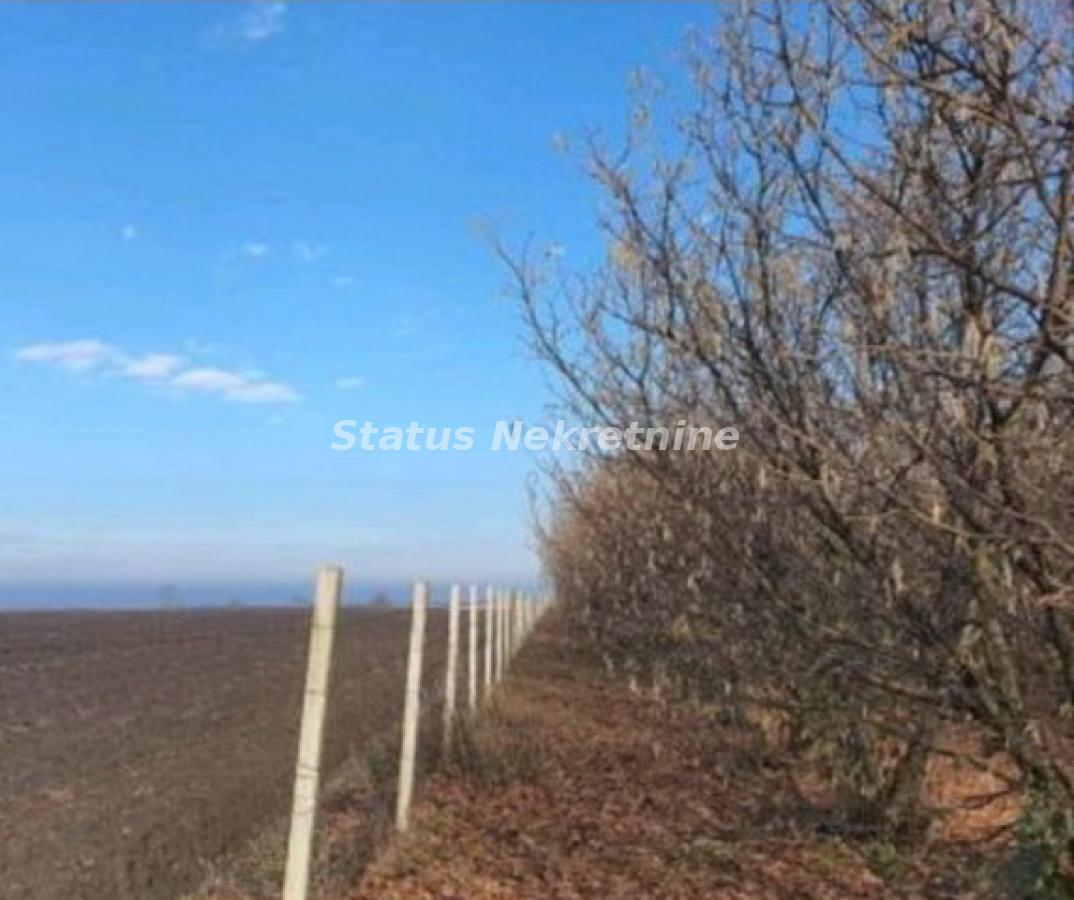 Plac Prodaja Bačka Palanka Plac Prodaja Bačka Palanka Gajdobra 0 m2