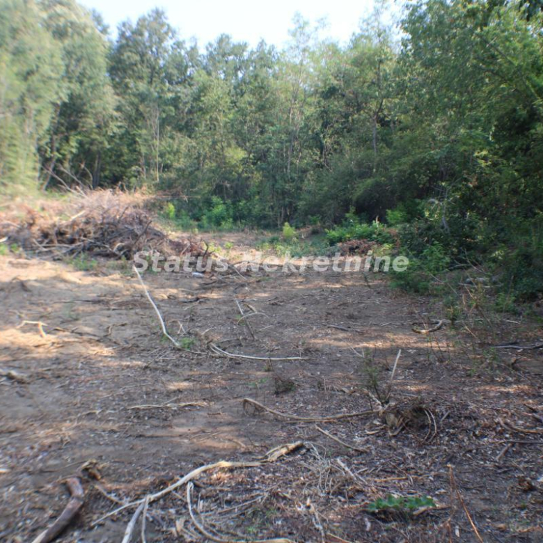 Plac Prodaja Beočin  0 m2