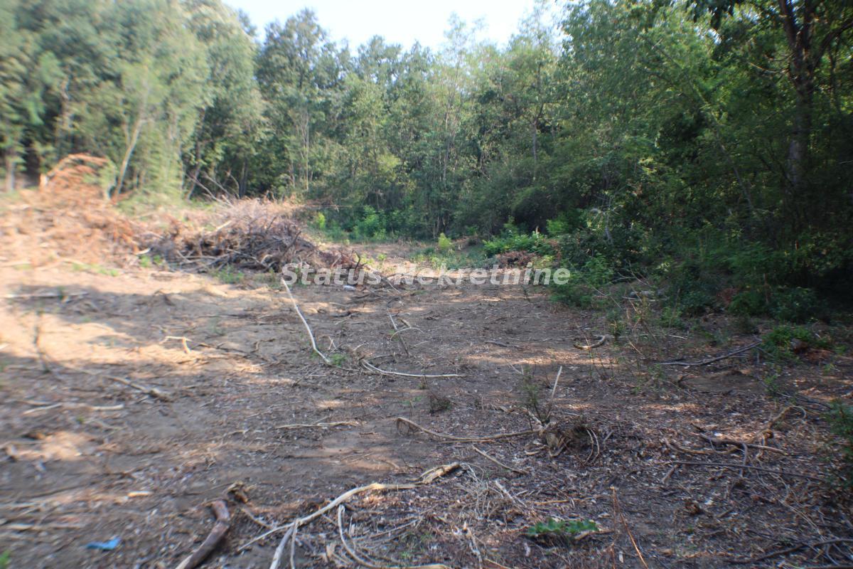 Plac Prodaja Beočin  0 m2