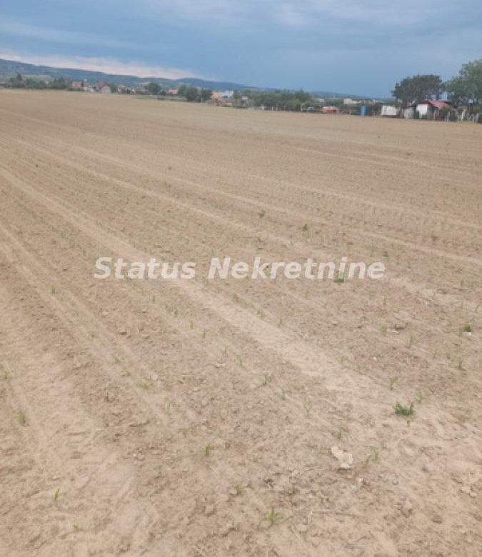 Plac Prodaja Novi Sad  0 m2
