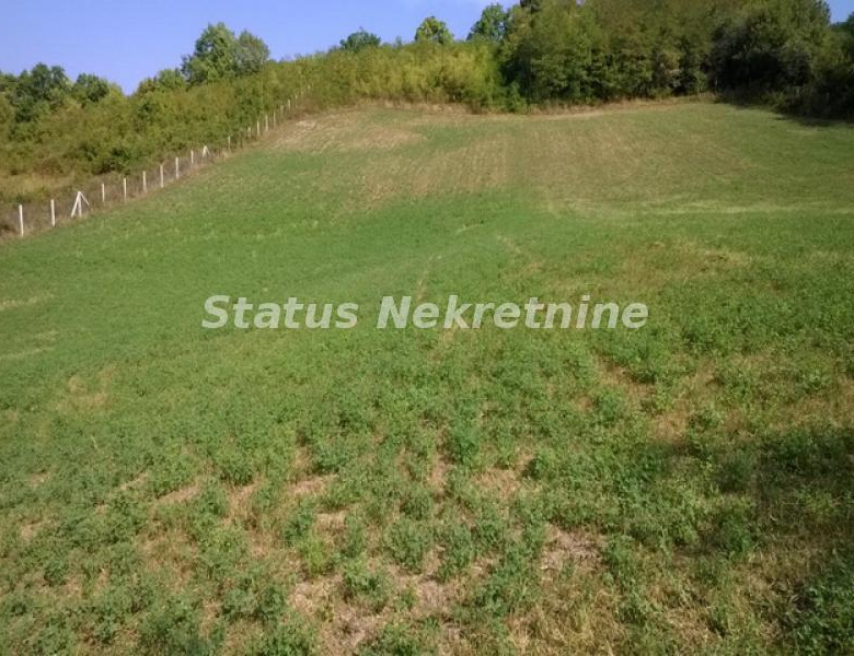 Plac Prodaja Vrdnik  0 m2