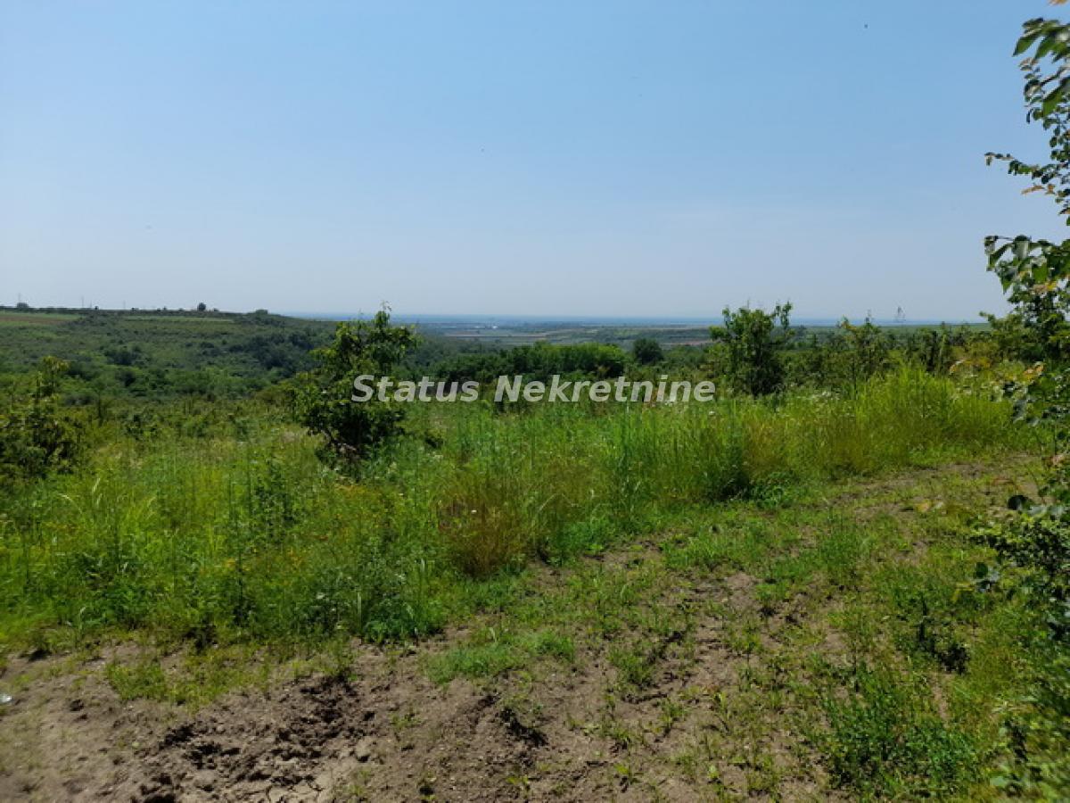 Plac Prodaja Vrdnik Plac Prodaja Vrdnik 0 m2