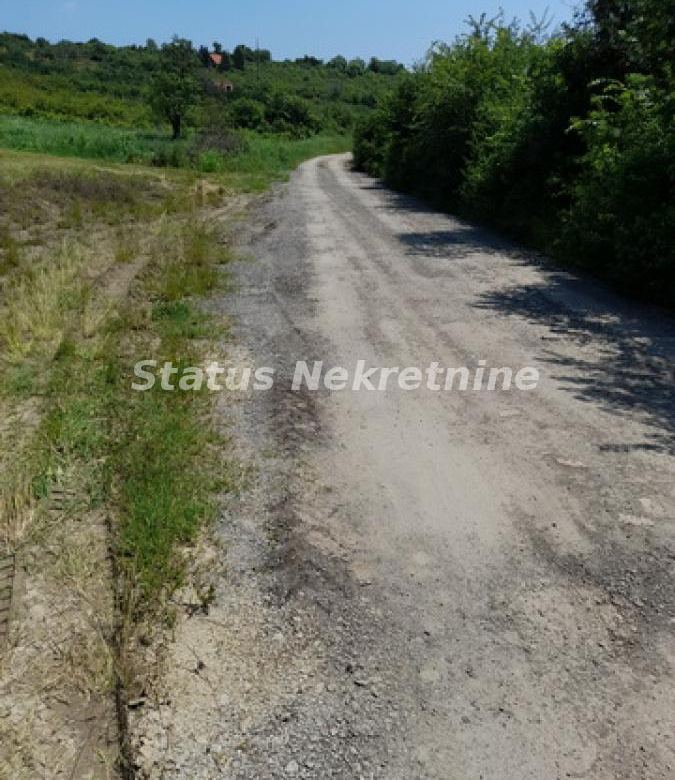 Plac Prodaja Vrdnik  0 m2