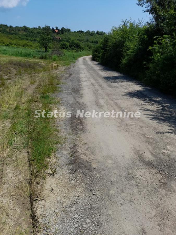 Plac Prodaja Vrdnik Plac Prodaja Vrdnik 0 m2