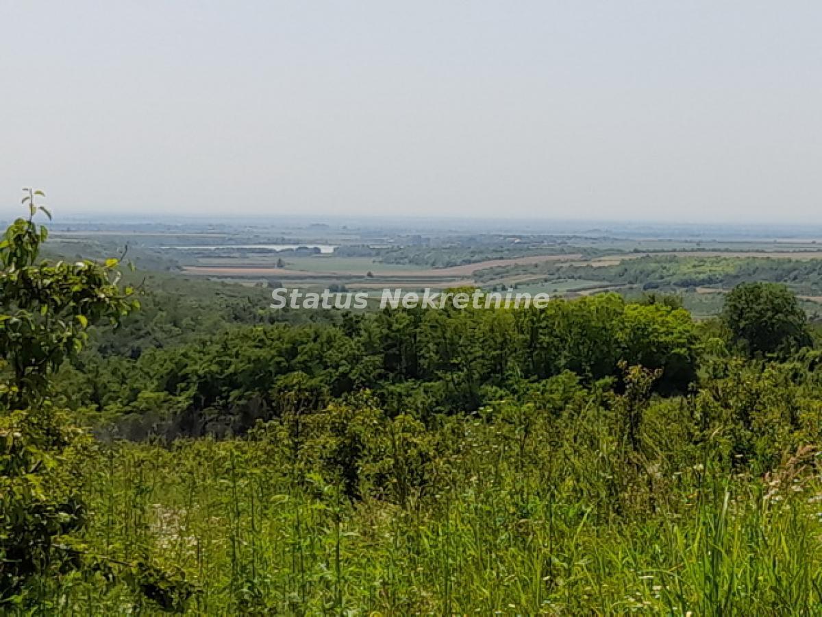 Plac Prodaja Vrdnik Plac Prodaja Vrdnik 0 m2