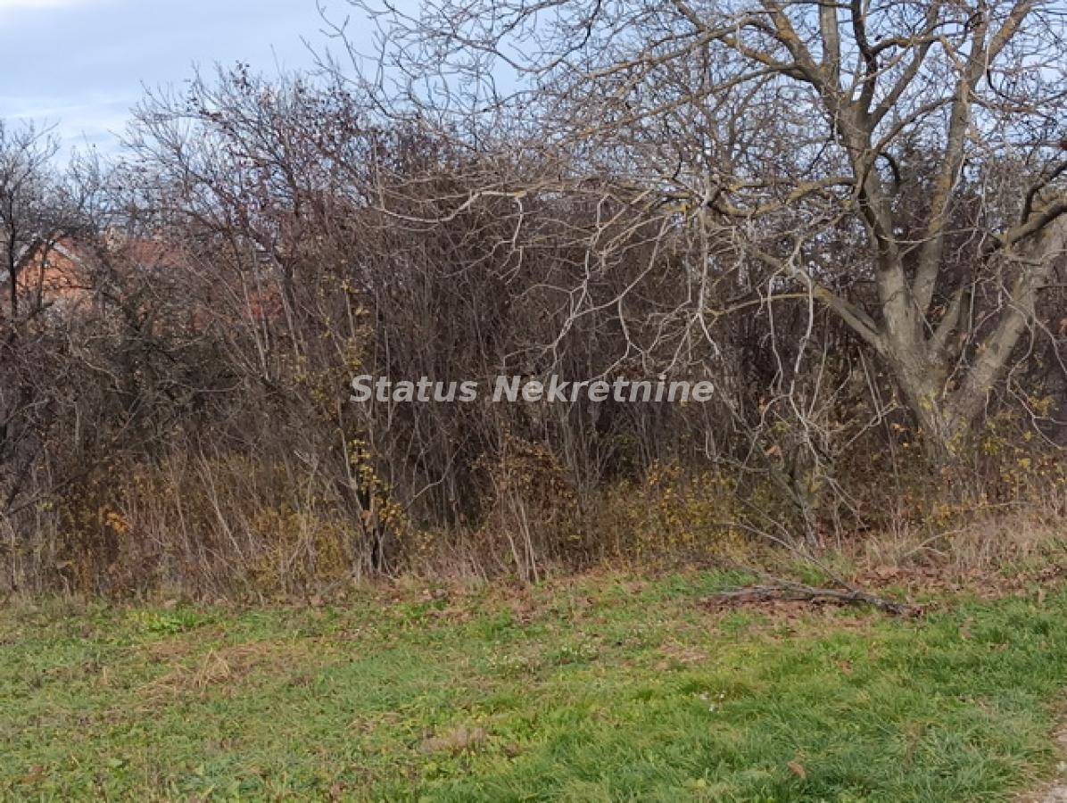 Plac Prodaja Sremski Karlovci Plac Prodaja Sremski Karlovci 0 m2
